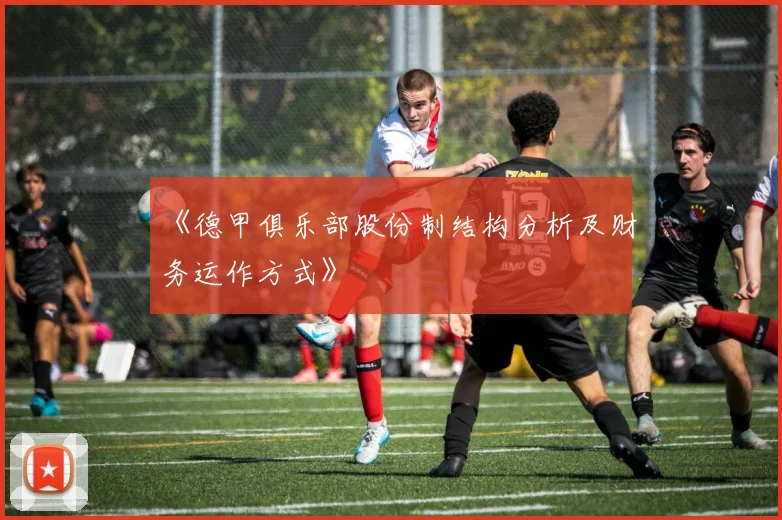《德甲俱乐部股份制结构分析及财务运作方式》