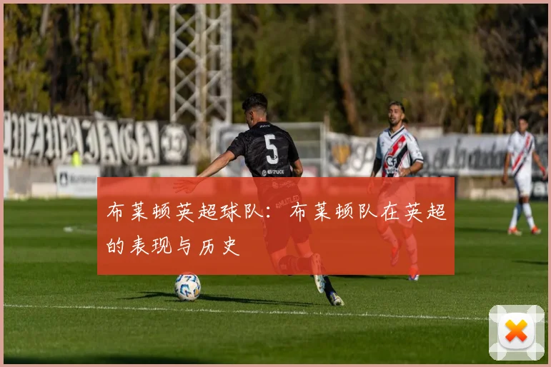 布莱顿英超球队：布莱顿队在英超的表现与历史
