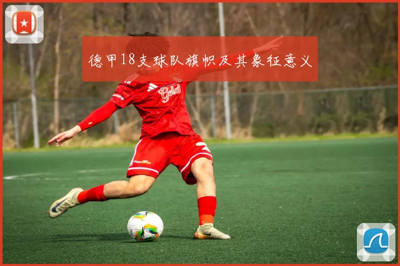 德甲18支球队旗帜及其象征意义